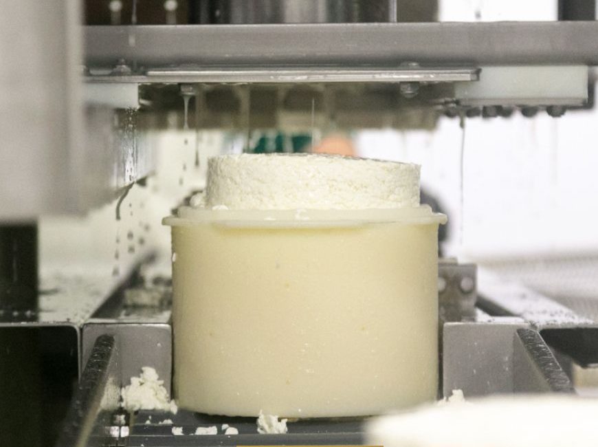 Queso Arribes Salamanca - La elaboracion: conservando tradiciones