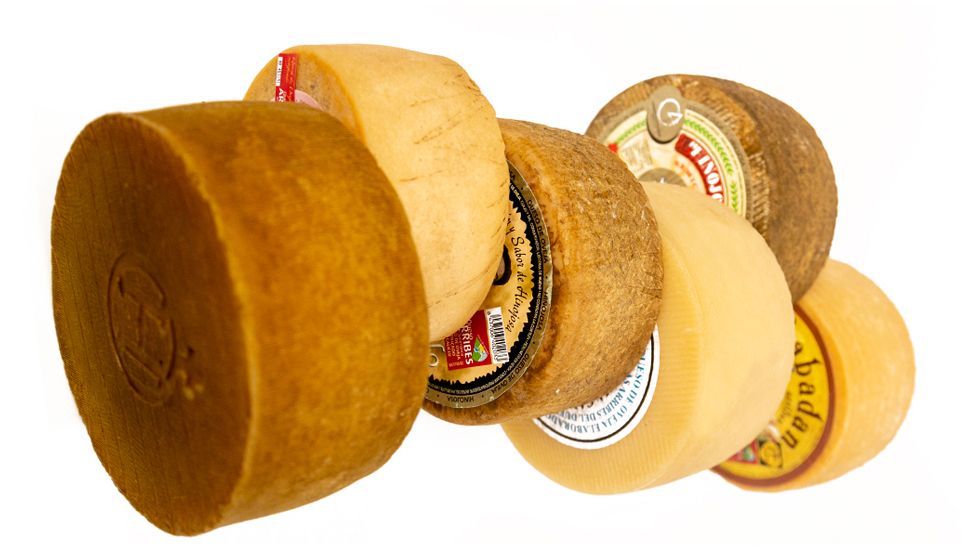 los mejores quesos de oveja que debes probar