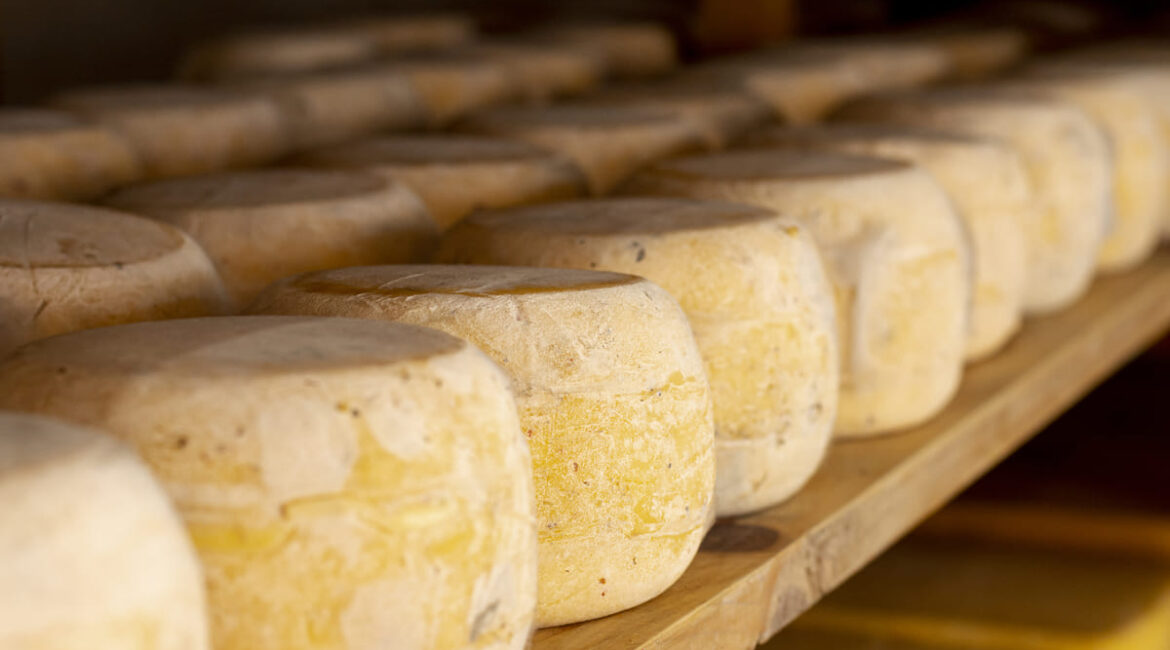 conservar queso de oveja