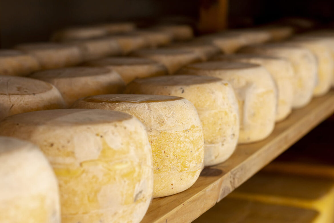 conservar queso de oveja