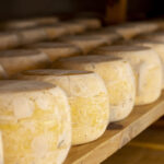conservar queso de oveja